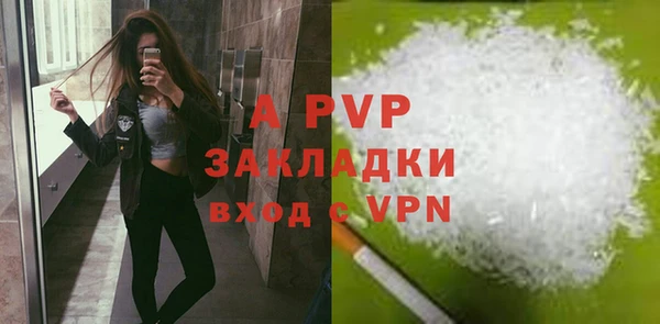прущие крисы Пестово