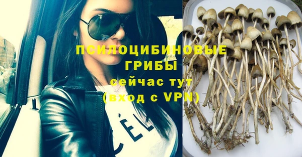 альфа пвп Переславль-Залесский