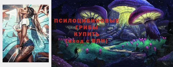 прущие крисы Пестово