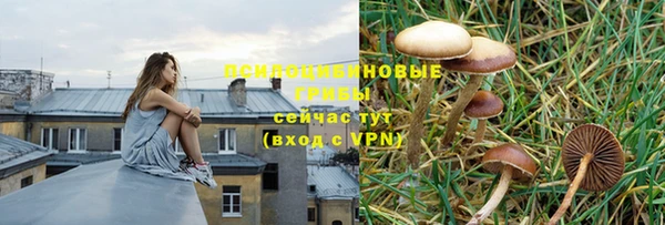 альфа пвп Переславль-Залесский