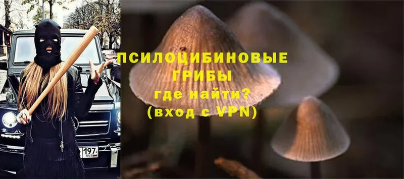 Псилоцибиновые грибы Magic Shrooms  купить  цена  Борисоглебск 