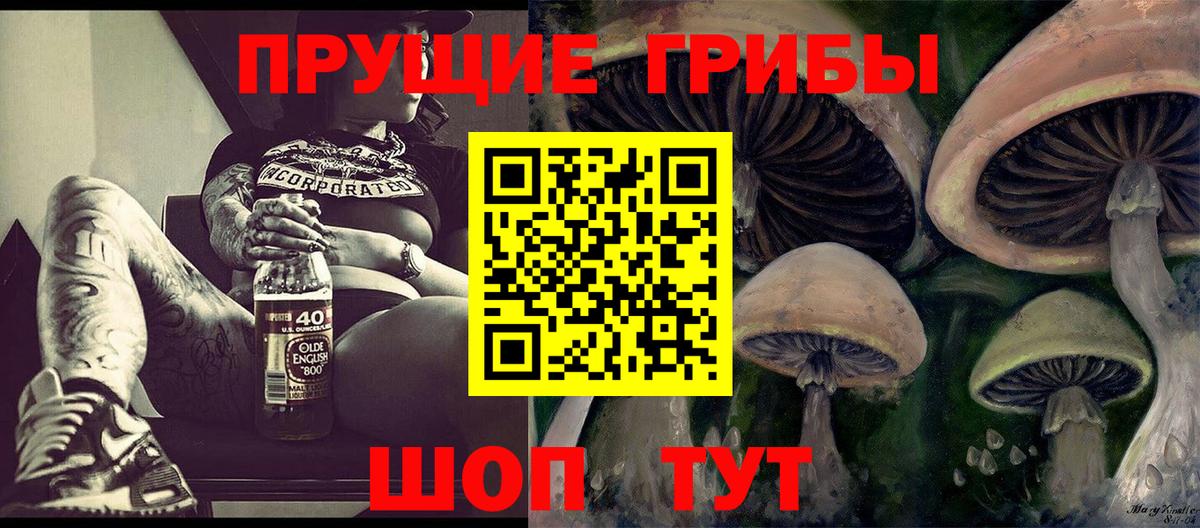 Псилоцибиновые грибы Cubensis Борисоглебск