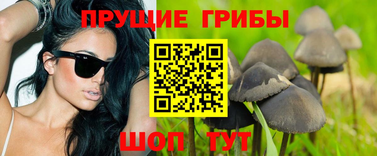Галлюциногенные грибы Psilocybine cubensis Борисоглебск
