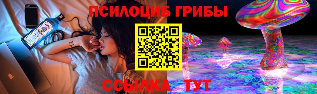 Галлюциногенные грибы Cubensis  дарнет шоп  Борисоглебск  Псилоцибиновые грибы Psilocybine cubensis 