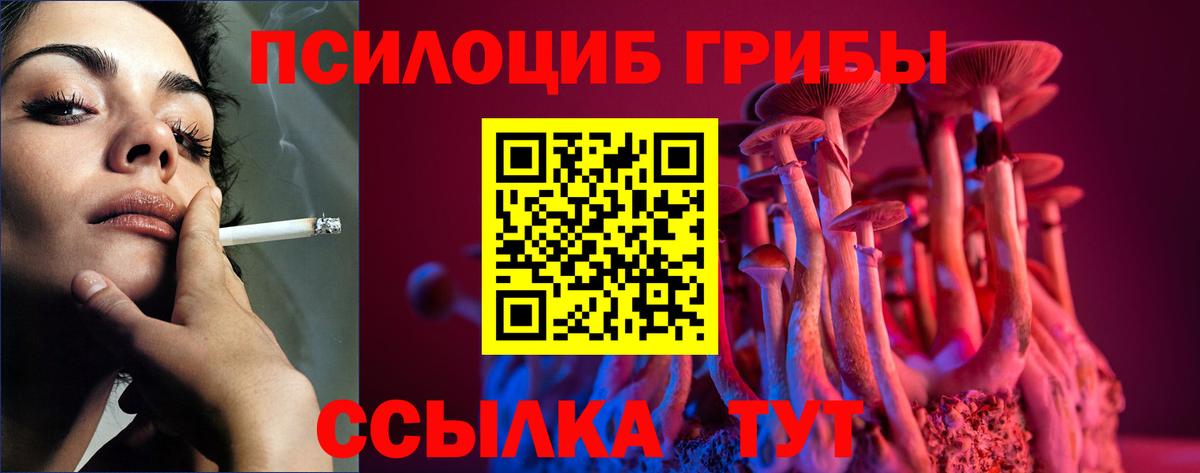 Галлюциногенные грибы Psilocybe  Вход с VPN  Борисоглебск 